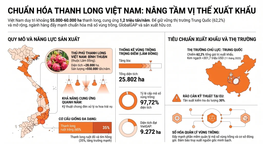 thủ tục xuất khẩu thanh long