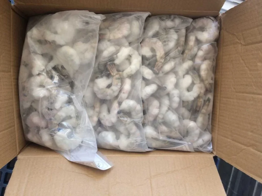 frozen shrimp export procedure