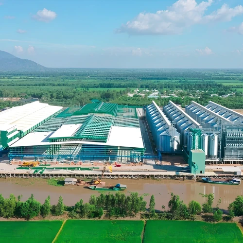Vietnam rice exporters 4