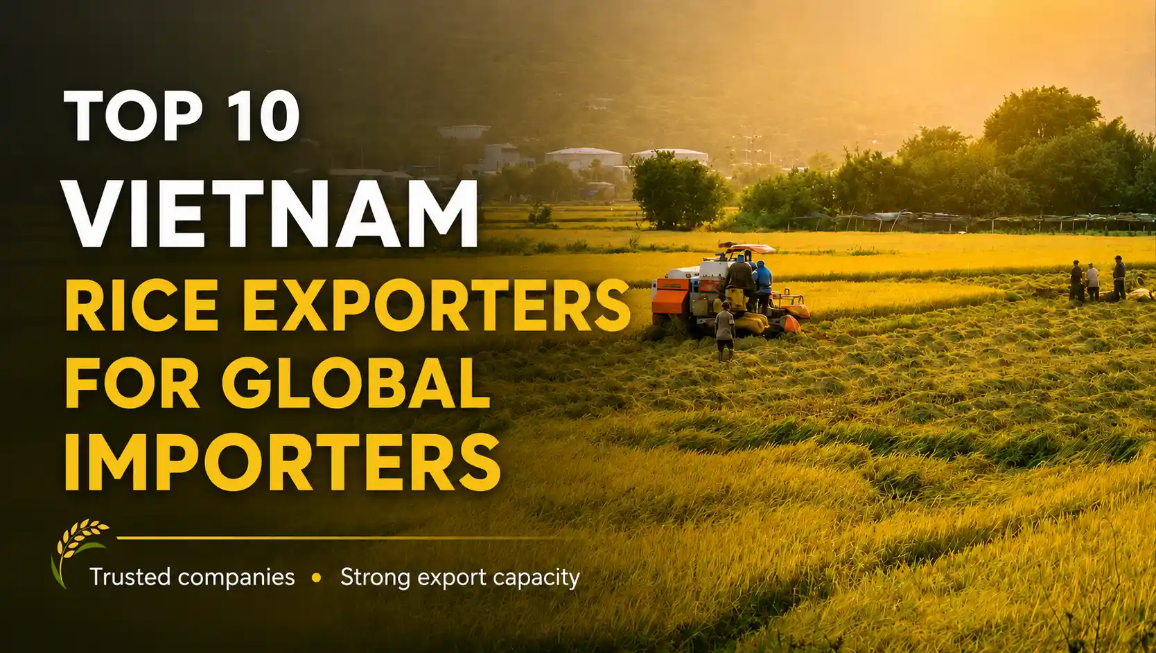 Vietnam rice exporters