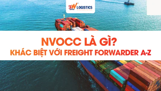 NVOCC Là Gì? Khác Biệt Với Freight Forwarder A-Z