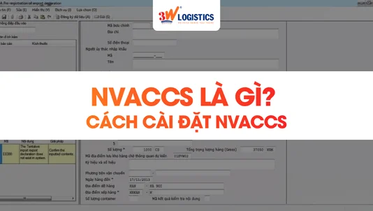 VNACCS Là Gì? Hệ Thống, Chức Năng Và Cách Cài Đặt A-Z