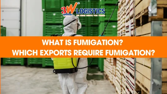 What is fumigation Which exports require fumigation