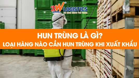hun trùng là gì các loại hàng cần hun trùng