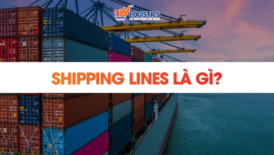 Shipping Lines là gì? Vai trò trong vận tải biển