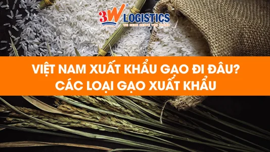 việt nam xuất khẩu gạo đi đâu các loại gạo xuất khẩu