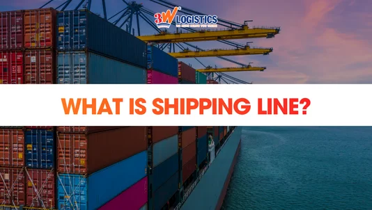 What is Shipping Line? Roles in Ocean Freight