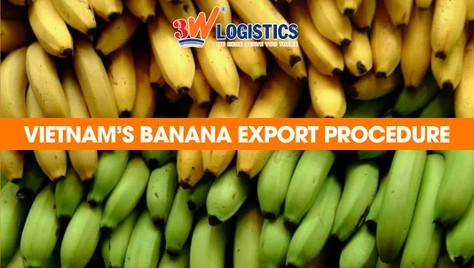 Vietnam's banana export procedure