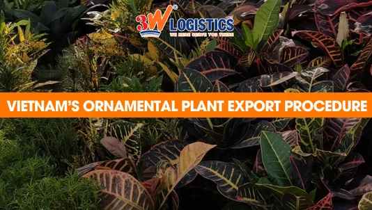Vietnam's ornamental plant export procedure