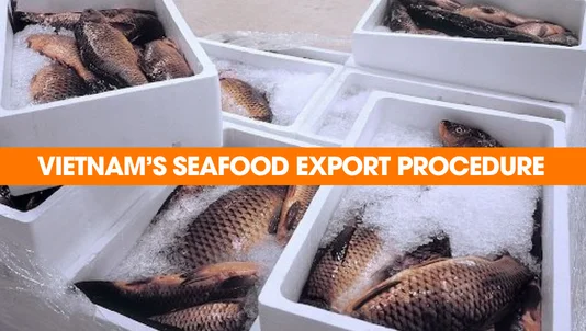 Vietnam's seafood export procedure