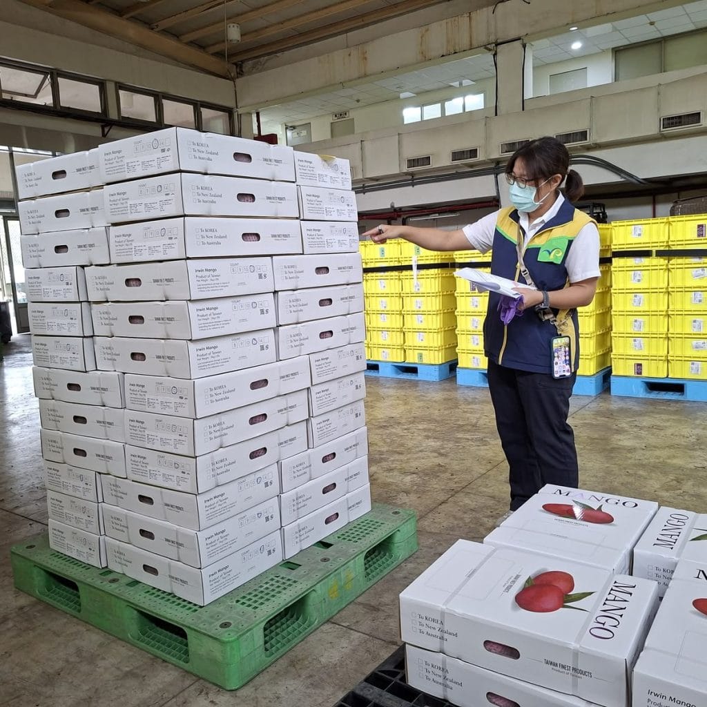 export fruit packaging specifications