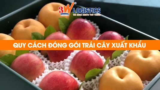 quy cách đóng gói trái cây xuất khẩu
