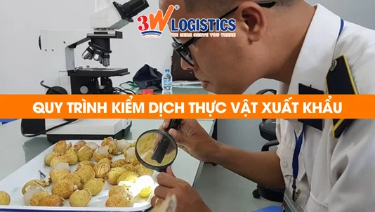 Quy trình kiểm dịch thực vật xuất khẩu