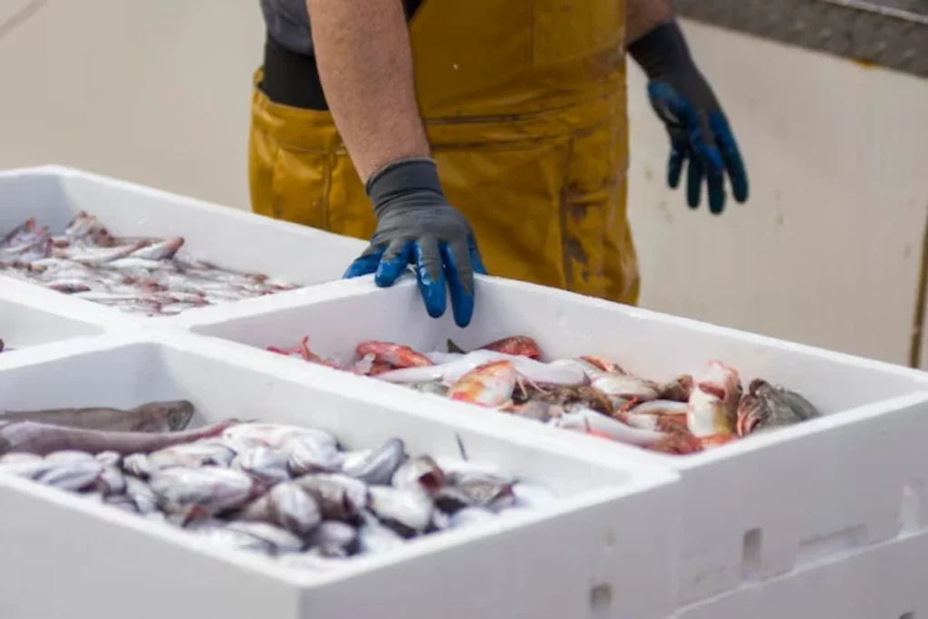 seafood export procedure
