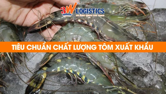 tiêu chuẩn chất lượng tôm xuất khẩu