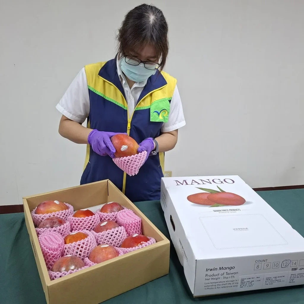 quality standards for exported fruit