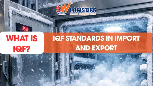 What Is IQF, IQF standards in import and export