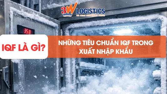 cấp đông iqf là gì các tiêu chuẩn iqf trong xuất nhập khẩu