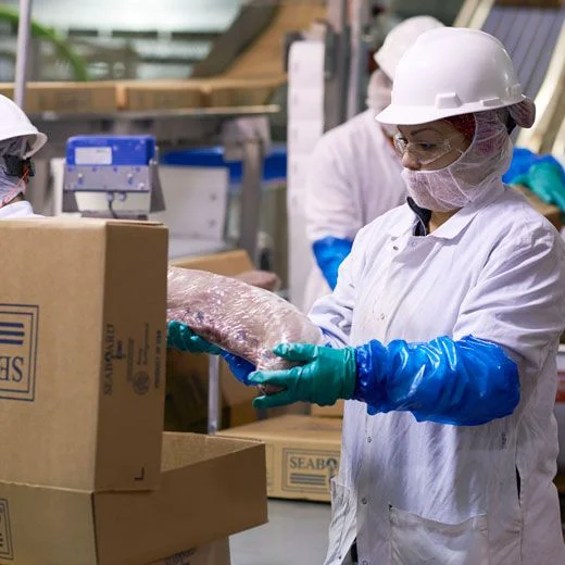 pork import procedure